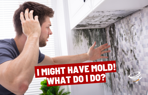 I might have Mold! What do I do?